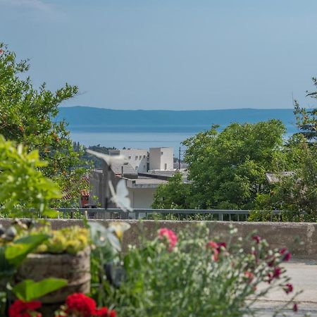 Apartment Strawberry Makarska Exteriör bild